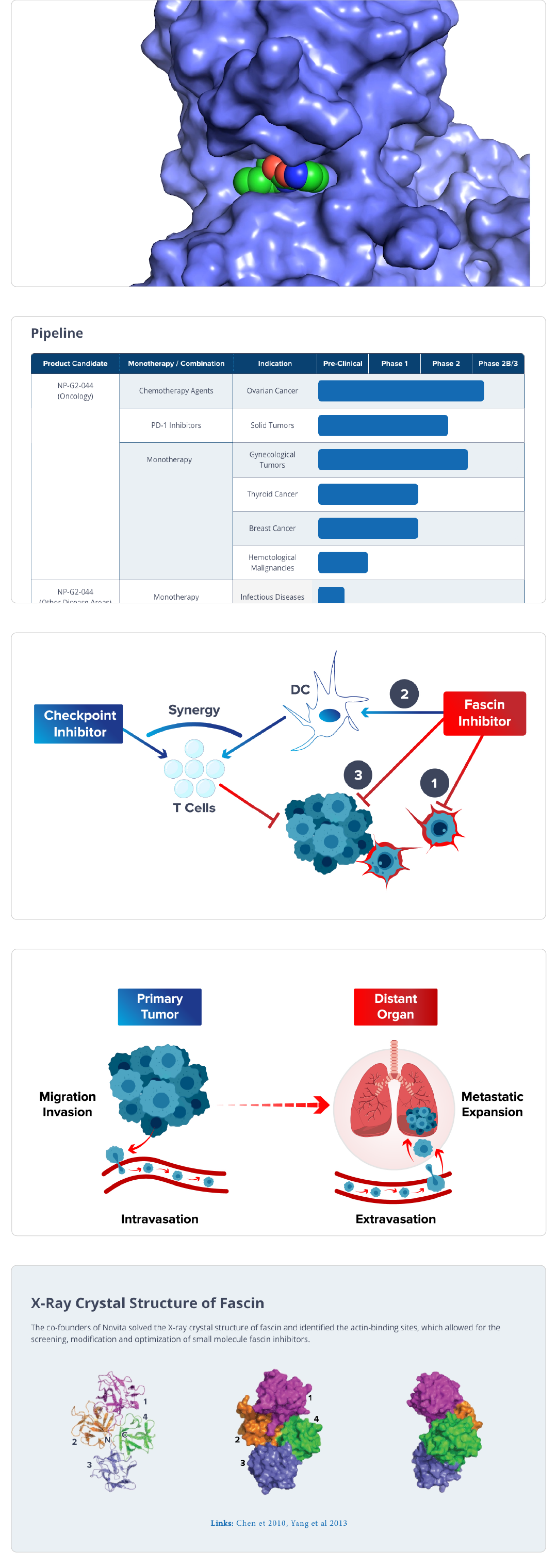 Novita Pharmaceuticals Portfolio Template