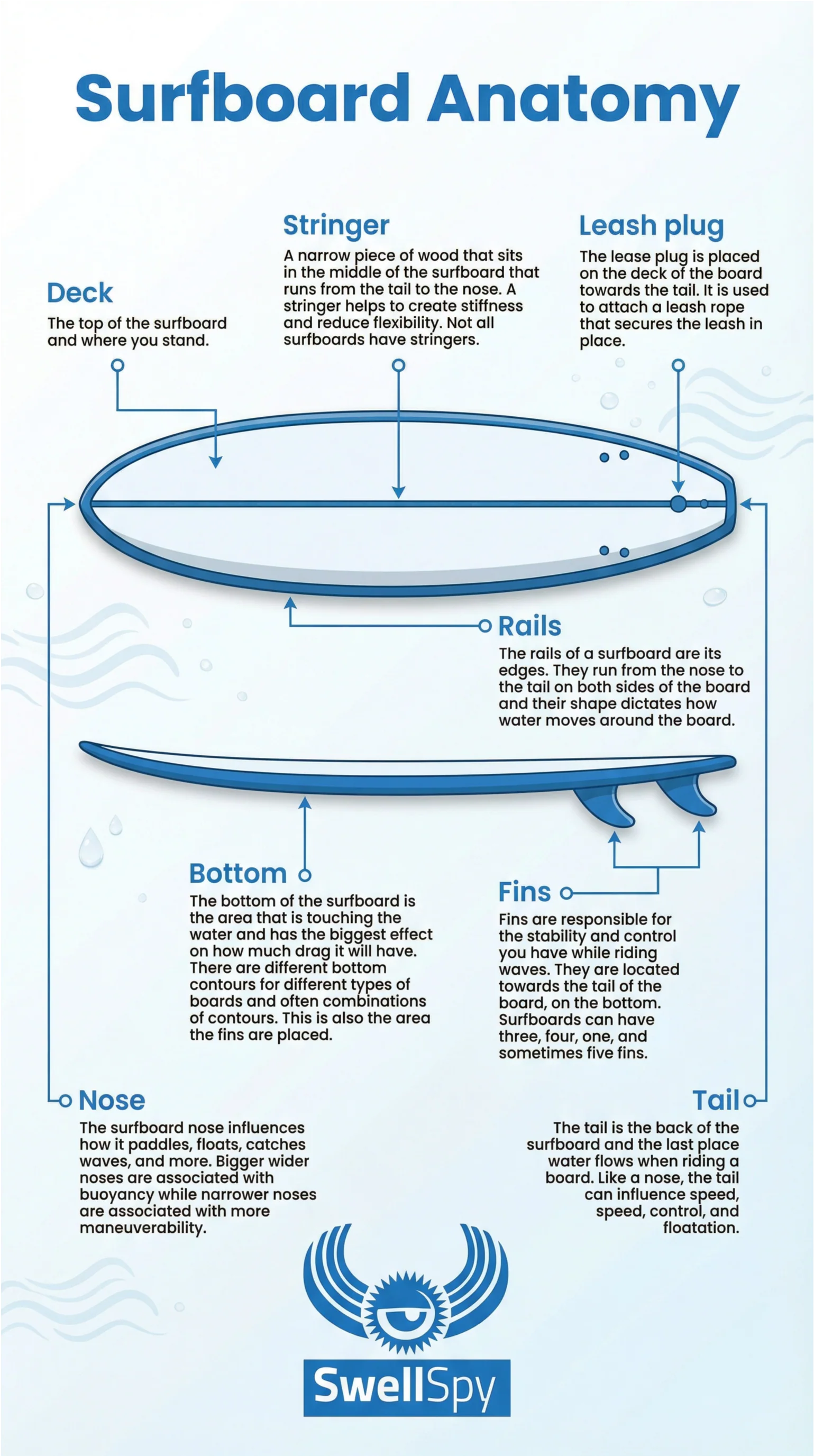 Example surfboard anatomy infographic