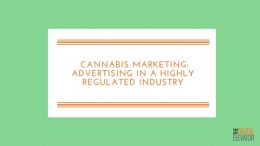 Cannabis Marketing